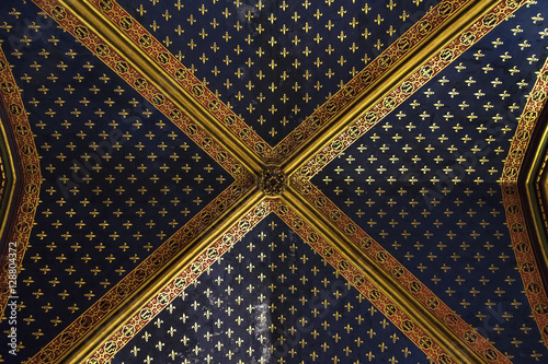 Fotografi plafond de la sainte chapelle fleur de lys