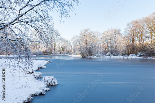 White winter landscape in garden with trees and frozen lake covered with snow. 