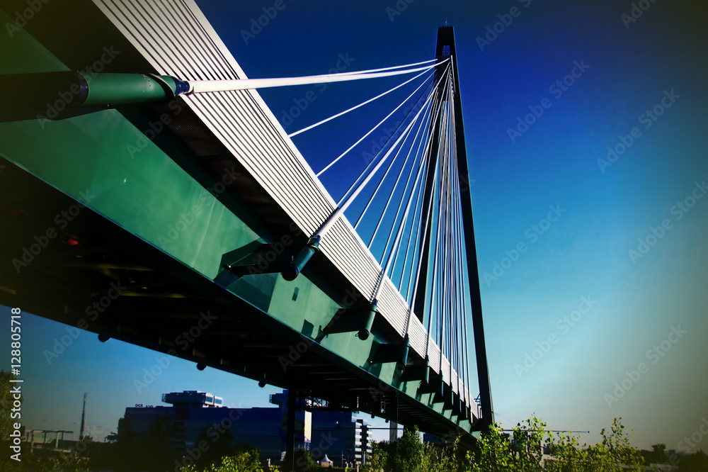 Obraz premium Wildnis Wien