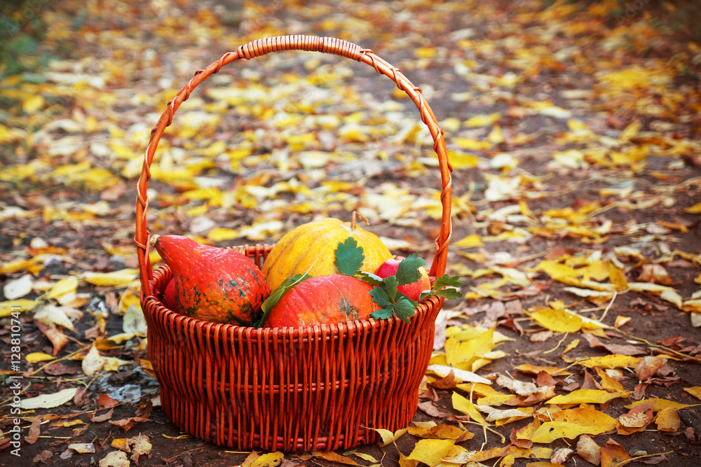 Fruit basket, autumn landscape Fruit basket, autumn landscape