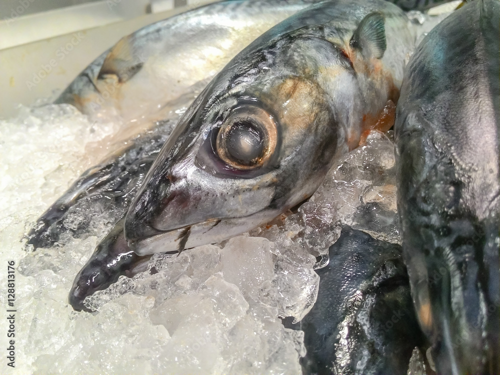 Saba fish,Saba fish is a popular fish used as raw material in Japanese cooking.Saba fish frozen sold in supermarkets.Fresh Saba fish put on ice in market.