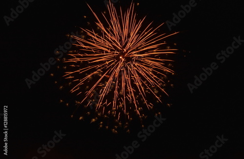 firework bloom on sky in the night