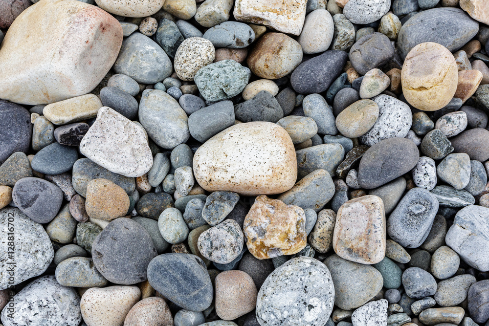 Acadia Rocks