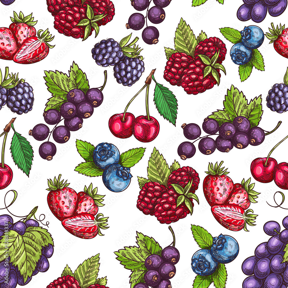 Berries fruits sketch seamless pattern Berries fruits sketch seamless pattern