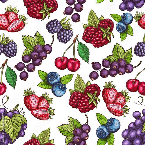 Berries fruits sketch seamless pattern