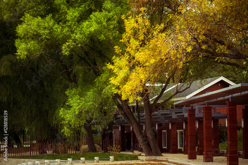 Autumn in Yuyuantan Park photo