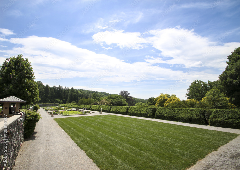 Photosquirrel-Photography_Ashville-NC_2013