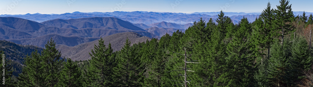 Panoramic view from the Blue Ridge Parkway near Great Smoky Mountains National Park, North Carolina, USA