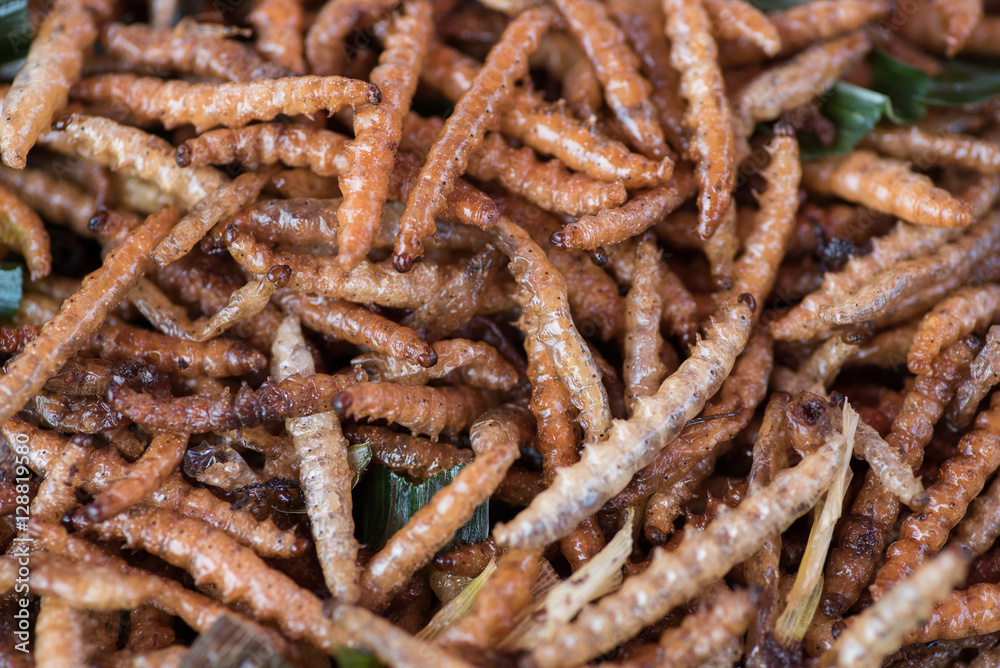 Fried Insect street food of Thailand Fried Insect street food of Thailand
