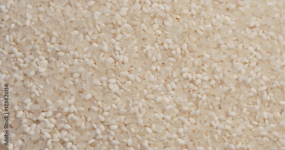 Top view of rice seed in rotation Top view of rice seed in rotation