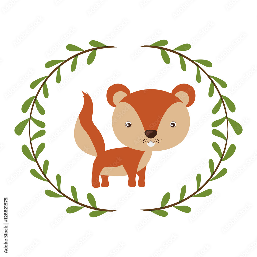 Squirrel cartoon icon. Animal cute life and nature theme. Isolated design. Vector illustration Squirrel cartoon icon. Animal cute life and nature theme. Isolated design. Vector illustration