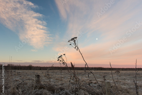 Rural russian countryside morning. Beautiful pink sunrise over snowy field