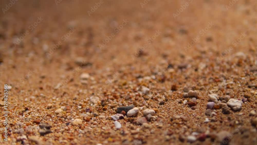 Egyptian gold sand on the beach. Egyptian gold sand on the beach.