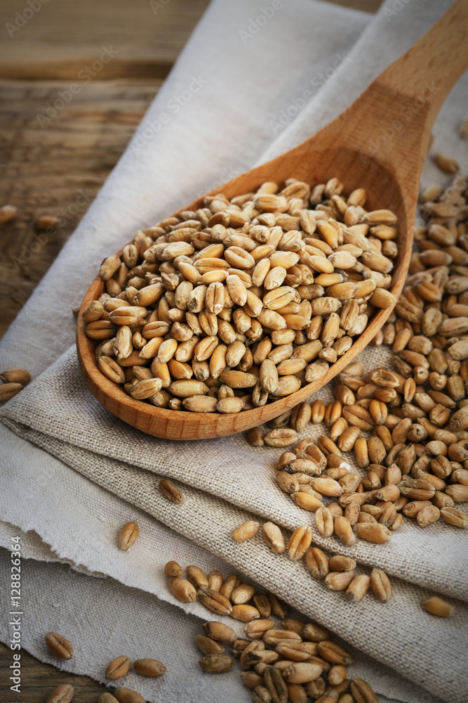 Grains of wheat in a wooden spoon, close-up Grains of wheat in a wooden spoon, close-up