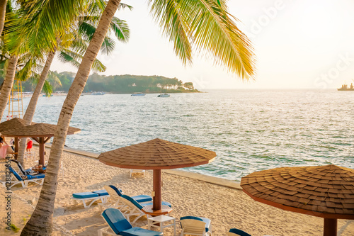 Seats on the sunset beach lounge and Coconut trees.