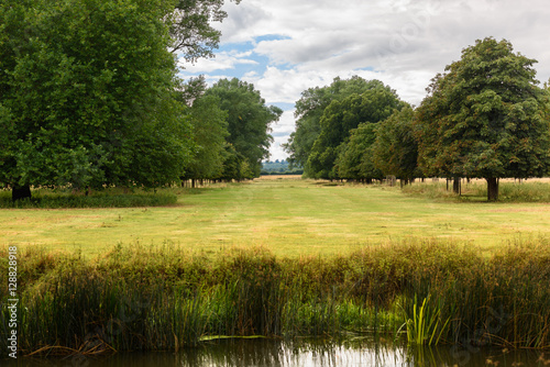 Alley of trees in the English Countryside on a summer's day walk