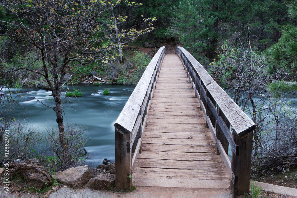 Obraz premium Footbridge