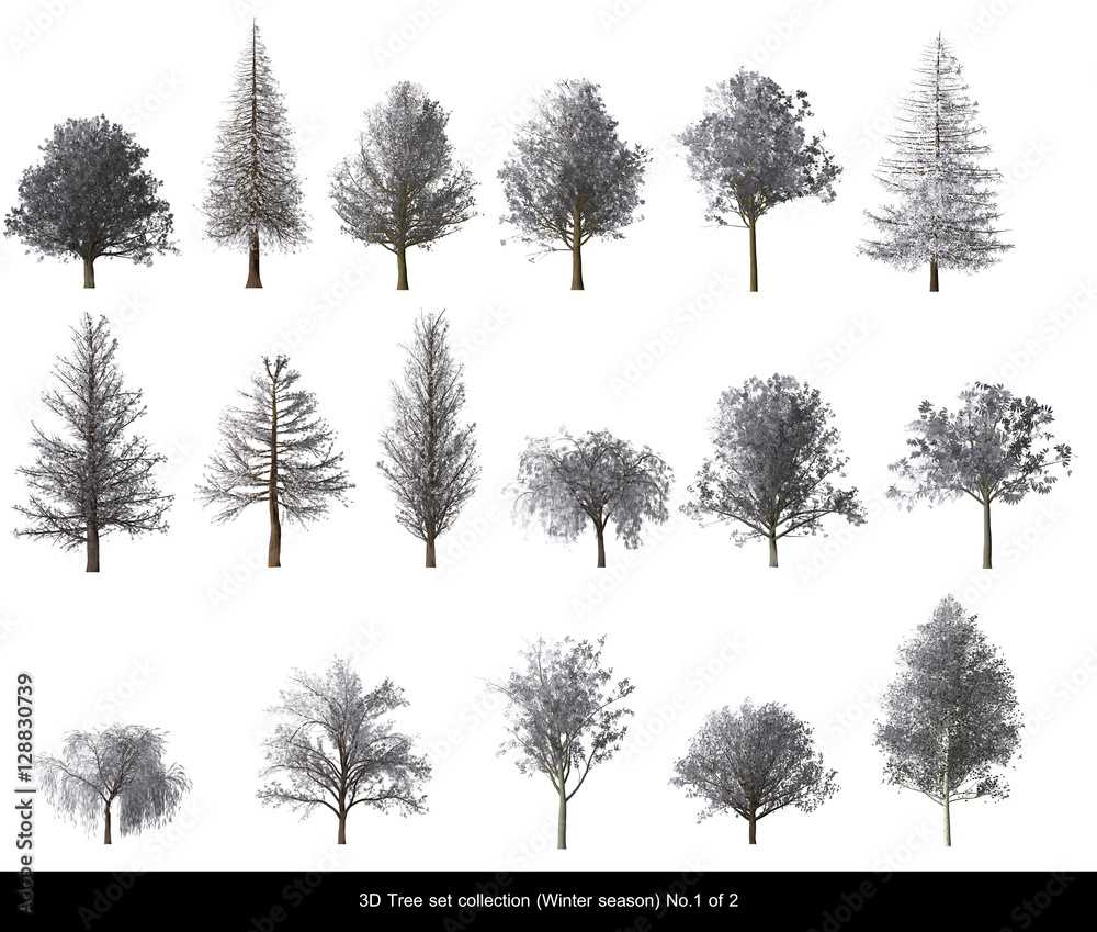 Naklejka White leaf Snow Tree Winter season set for architecture landscape design, 3D Tree isolated on white No.1