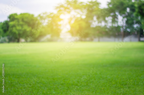 Fototapeta Naklejka Na Ścianę i Meble -  Lawn blur with soft light for background