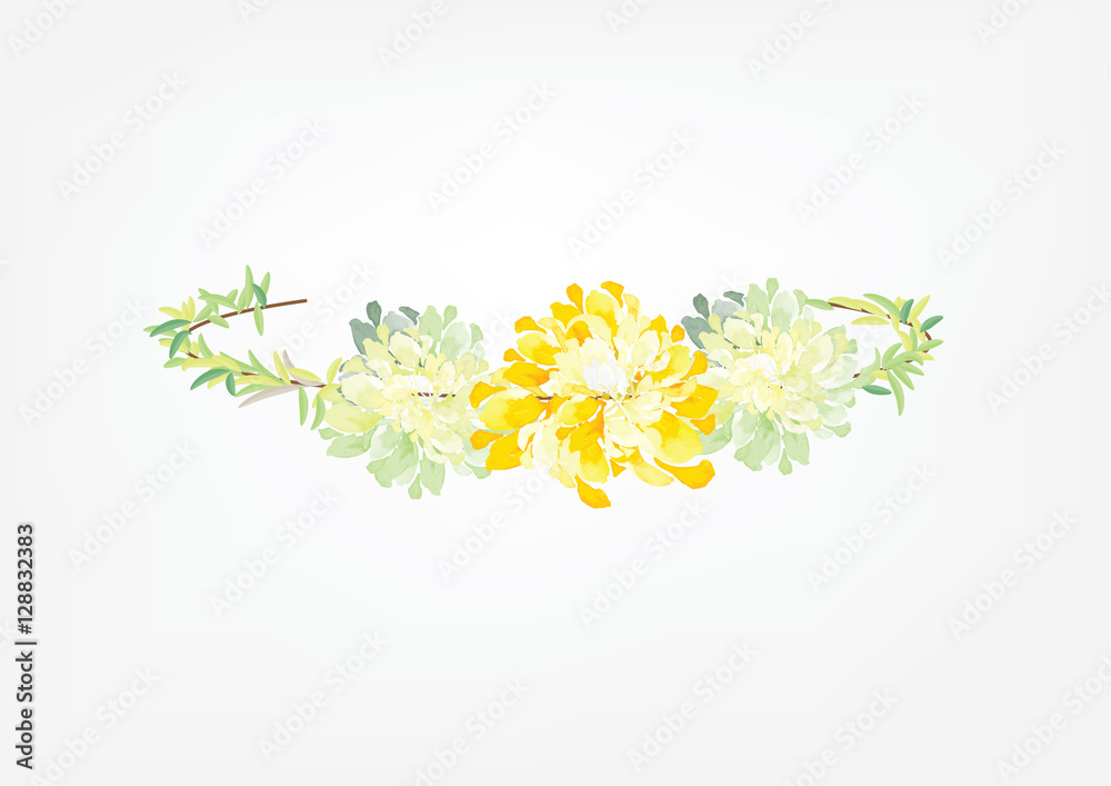 crown flowers set  side way and top isolated on white background,