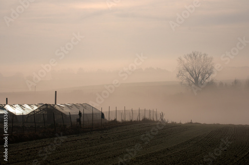 Greenhous in early morning fog mist in winter