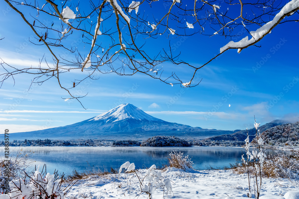 Fototapeta premium Mt.Fuji at kawaguchi ko lake