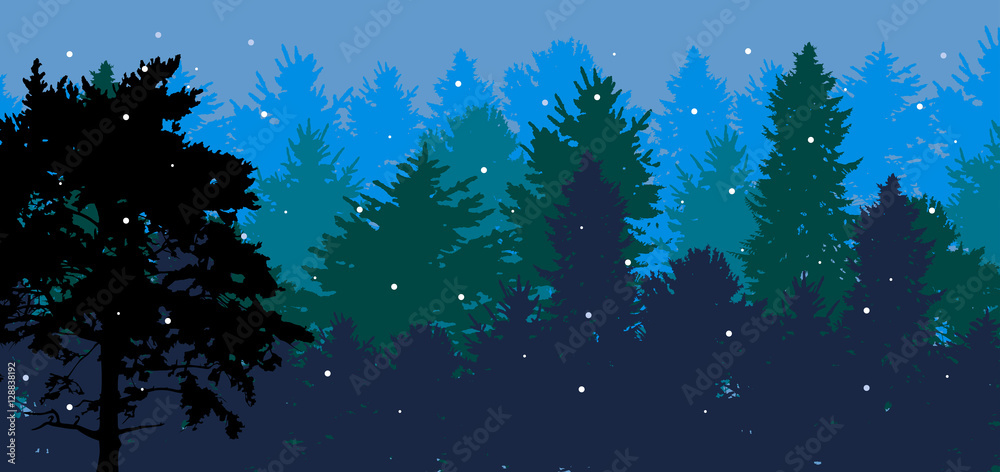 black pine silhouette in blue snow forest