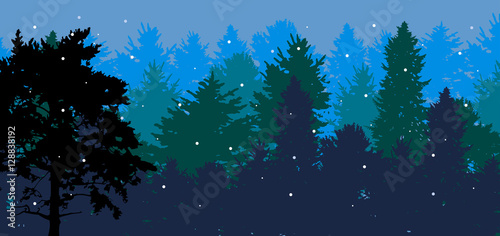 black pine silhouette in blue snow forest
