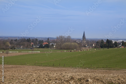 field landscape on a sunny day in spring