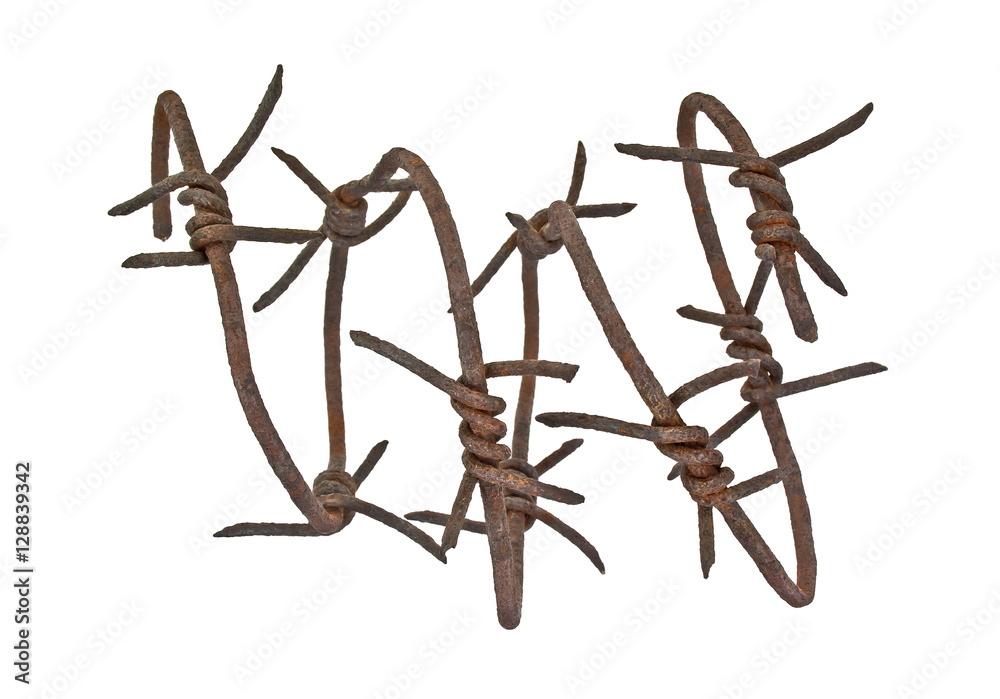 Obraz premium Rusty barbed wire on white background