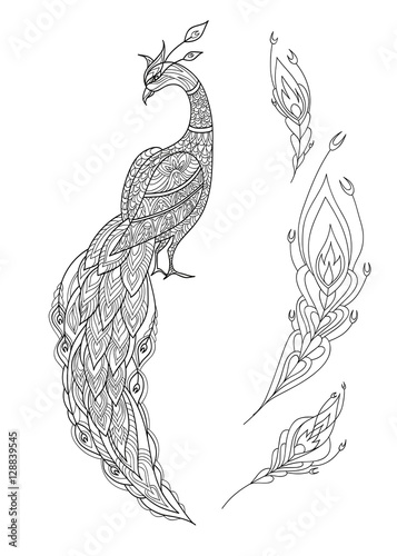 Ornamental fantasy peacock hand drawn. Vector illustration. Folk design. Line art. T-shirt designs.
