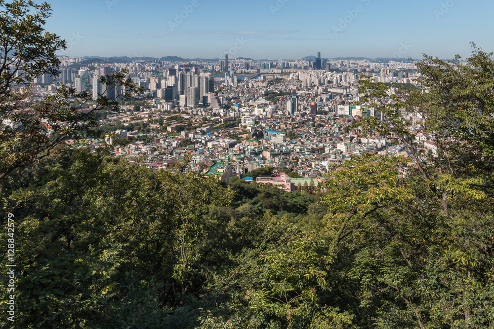 Seoul cityscape with trees in foreground, South Korea