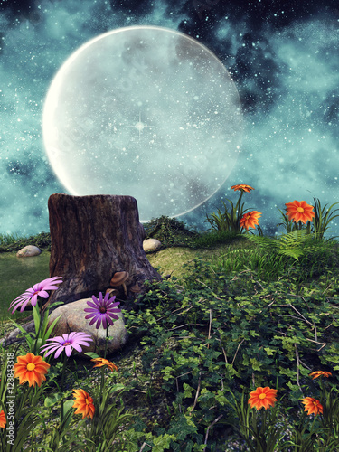Fototapeta Łąka z kolorowymi kwiatami i pniem drzewa na tle nieba z księżycem i gwiazdami