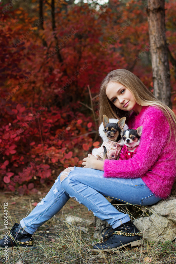 Pretty girl with two chihuahua dogs on the nature Pretty girl with two chihuahua dogs on the nature