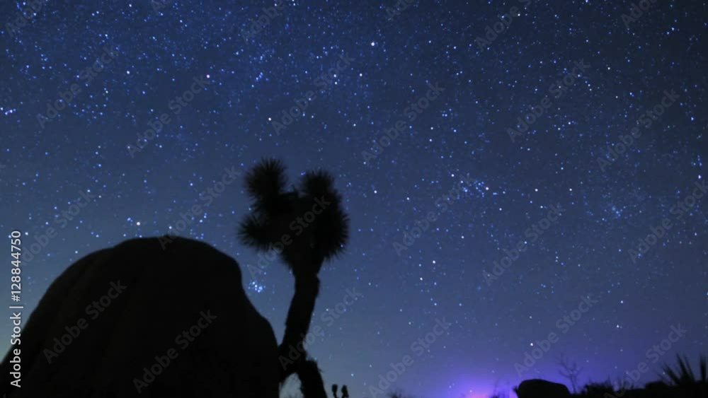 Night Sky Stars Over Joshua Tree Timelapse