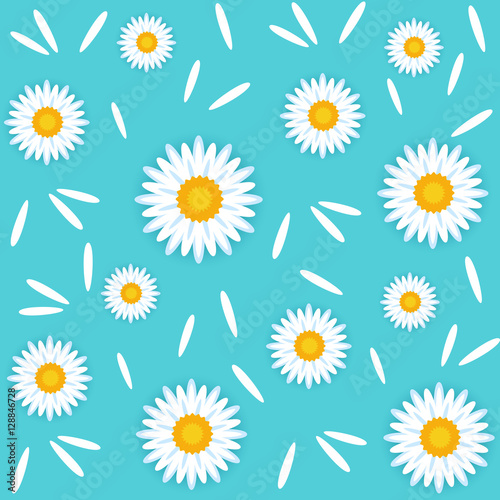 Seamless vector pattern. Floral background. Chamomile.