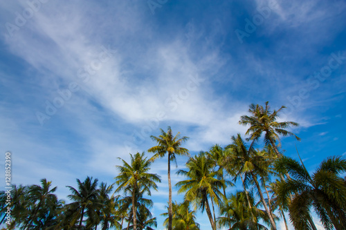 Canvas Print Sky of the tropics