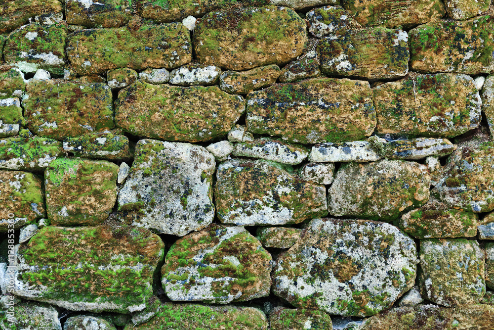 Old stone wall overgrown with moss