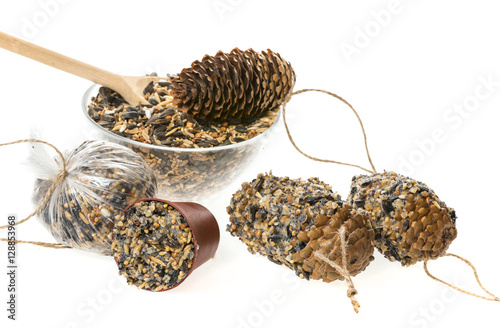 Canvas Print making feeders for birds from seeds