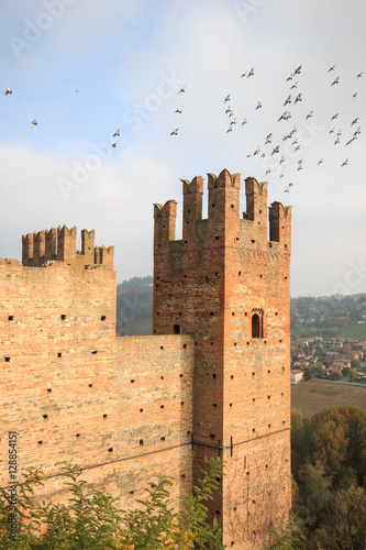 Rocca di Castell'Arquato photo