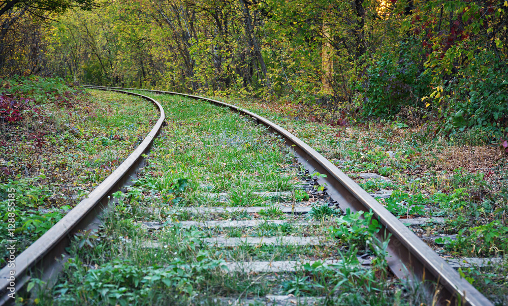Old abandoned railway in forest