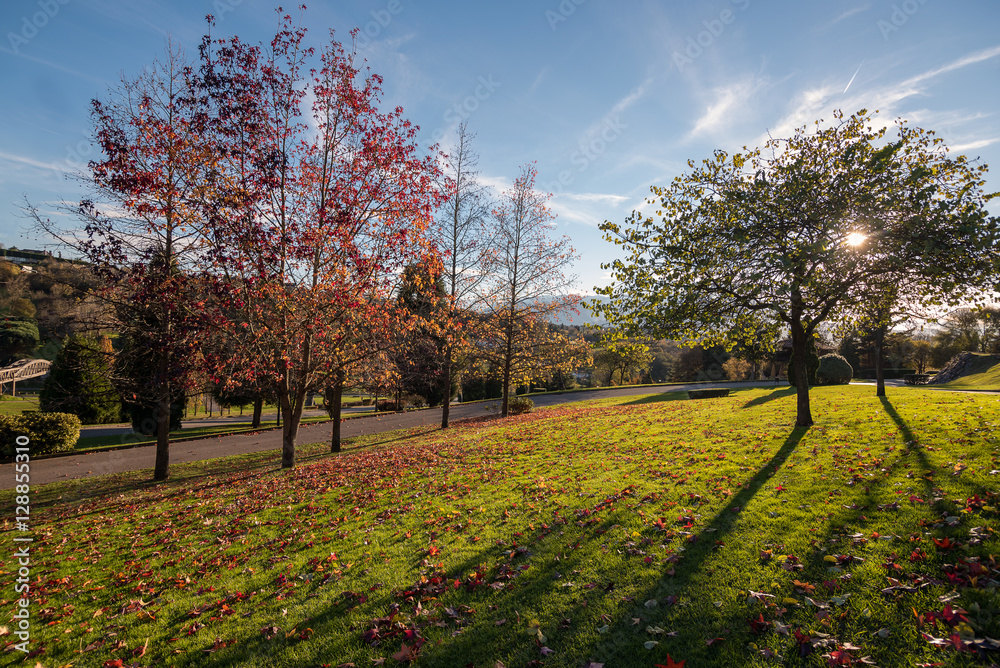 Naklejka premium Winter Park (Parque de Invierno), Oviedo