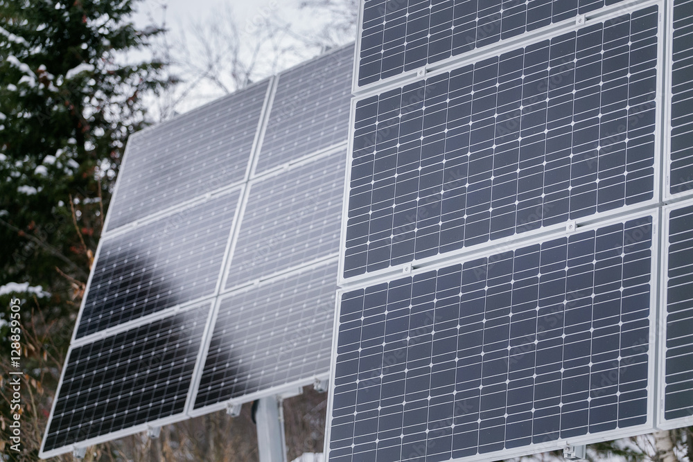 Fototapeta premium Solar panel plant in cloudy weather in the winter forest