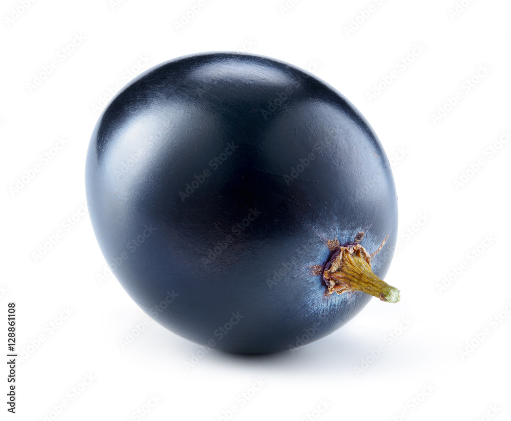 Grape isolated on white background. One berry. Dark grape. Blue Grape isolated on white background. One berry. Dark grape. Blue