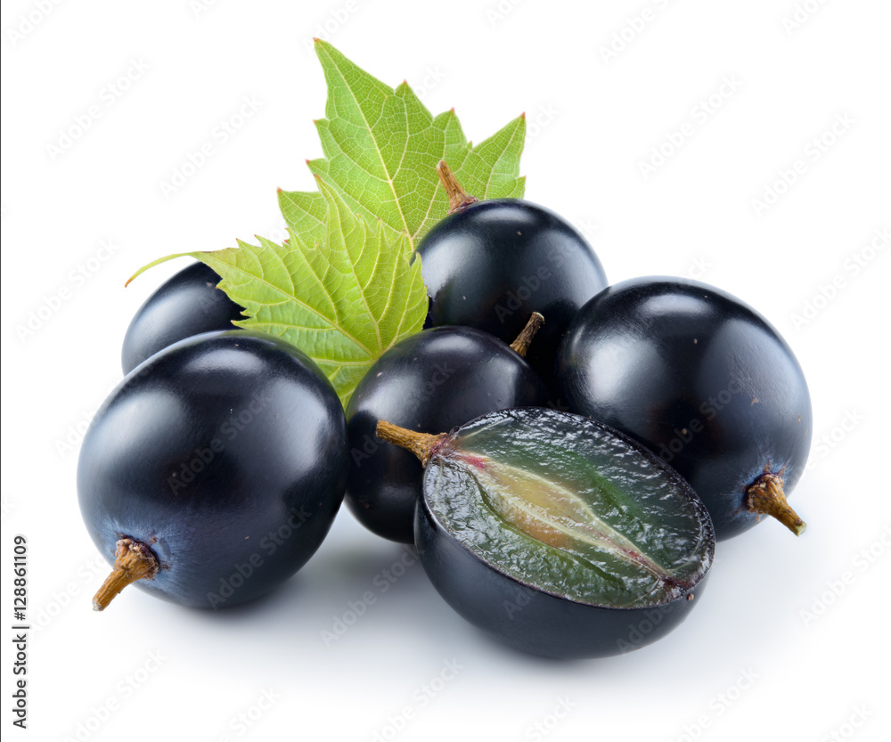 Dark blue grape with leaf isolated on white background. Dark blue grape with leaf isolated on white background.