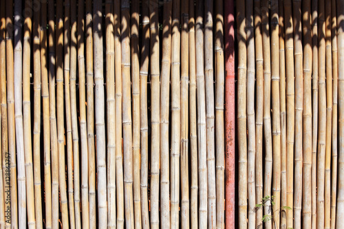 abstract bamboo wall background.