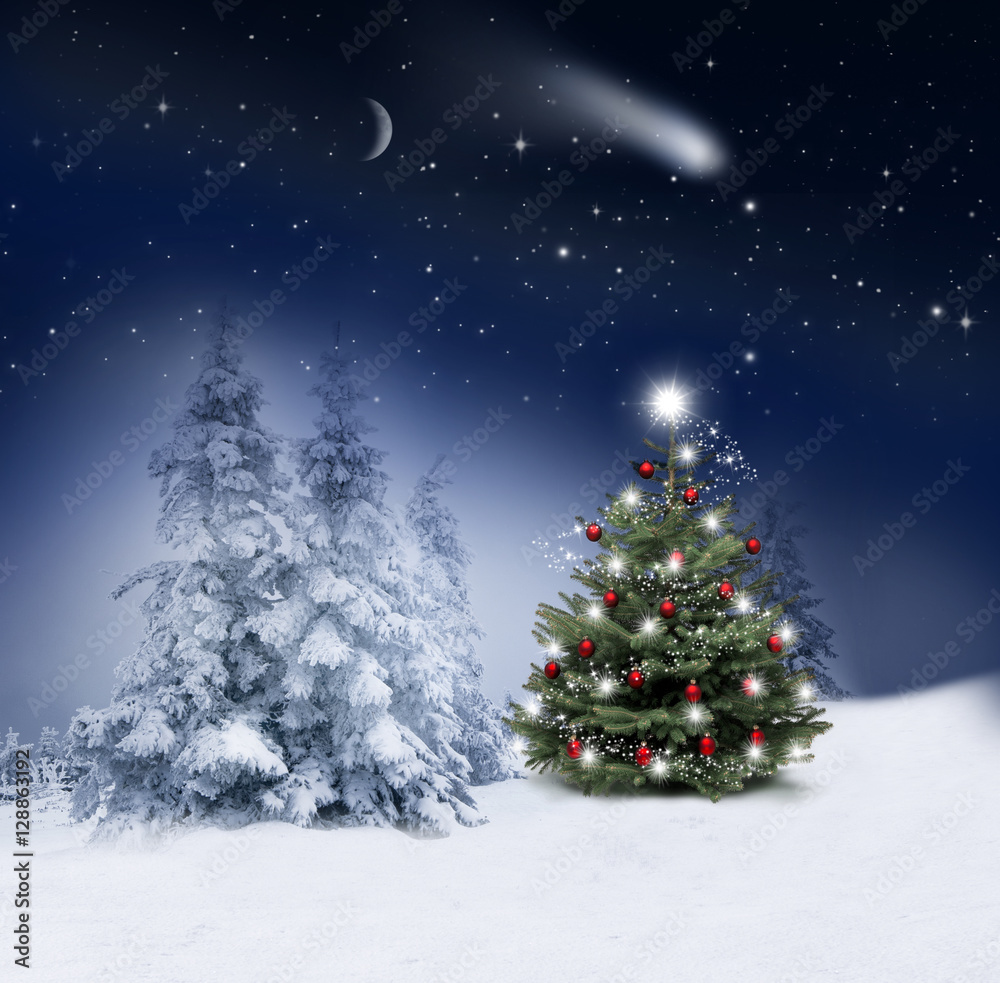 Weihnachtsbaum in Winternacht