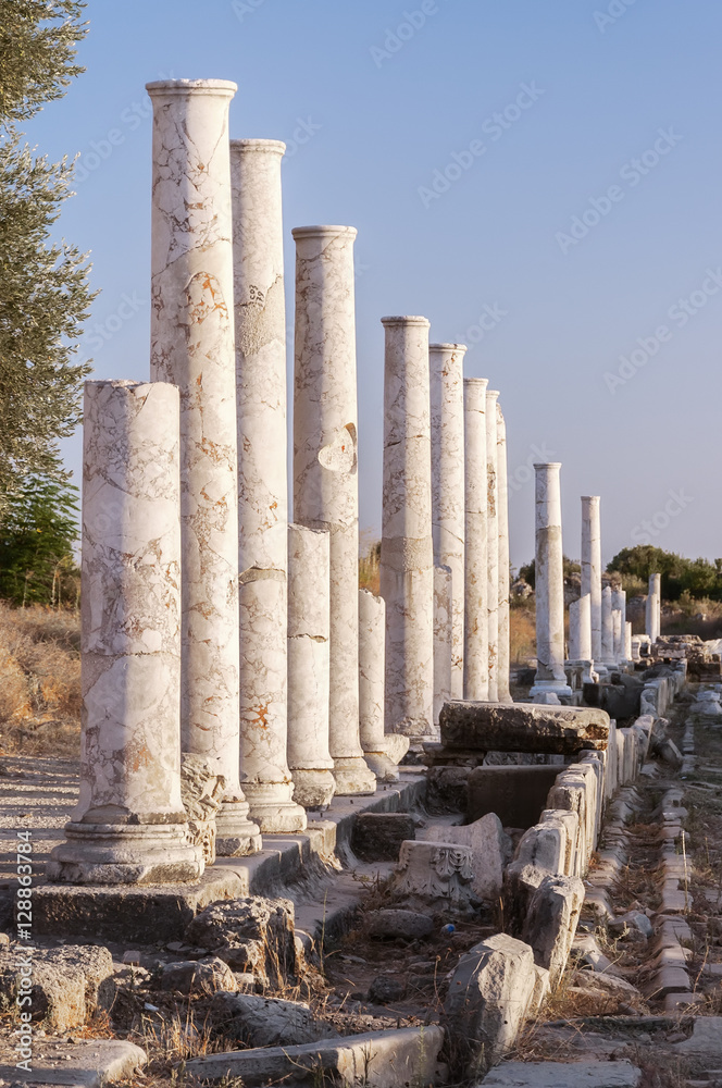 Side Ancient Columnated Street Ruins Side Ancient Columnated Street Ruins