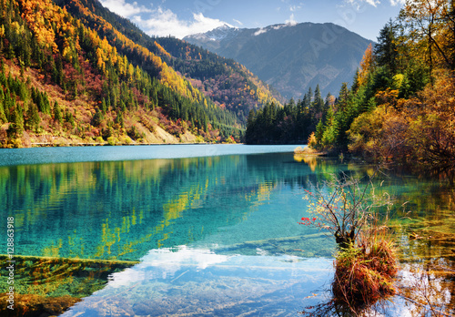 Photography Beautiful view of the Arrow Bamboo Lake with azure water