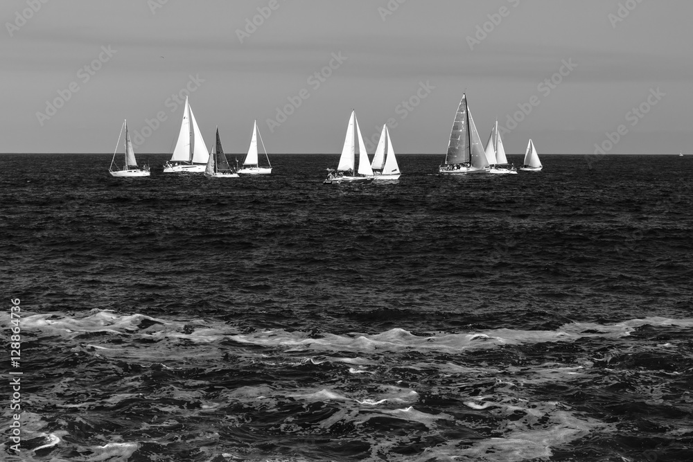 Sailing boats in the wavy sea, black and white